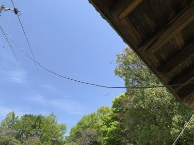 IMG_6256.jpeg
