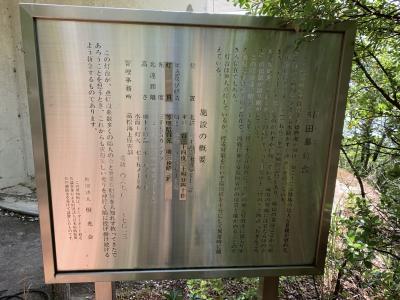 IMG_6361.jpeg