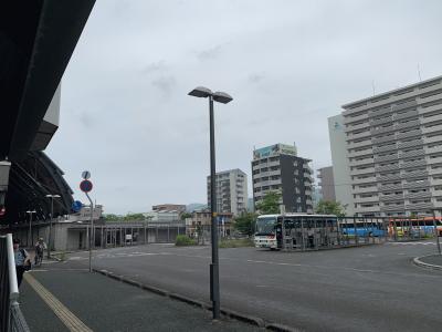 IMG_6393.jpeg