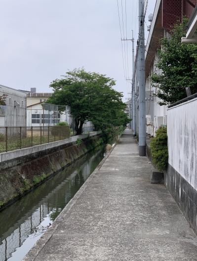 IMG_6402.jpeg