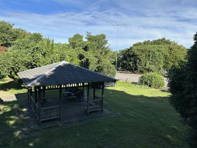 IMG_6532.jpeg